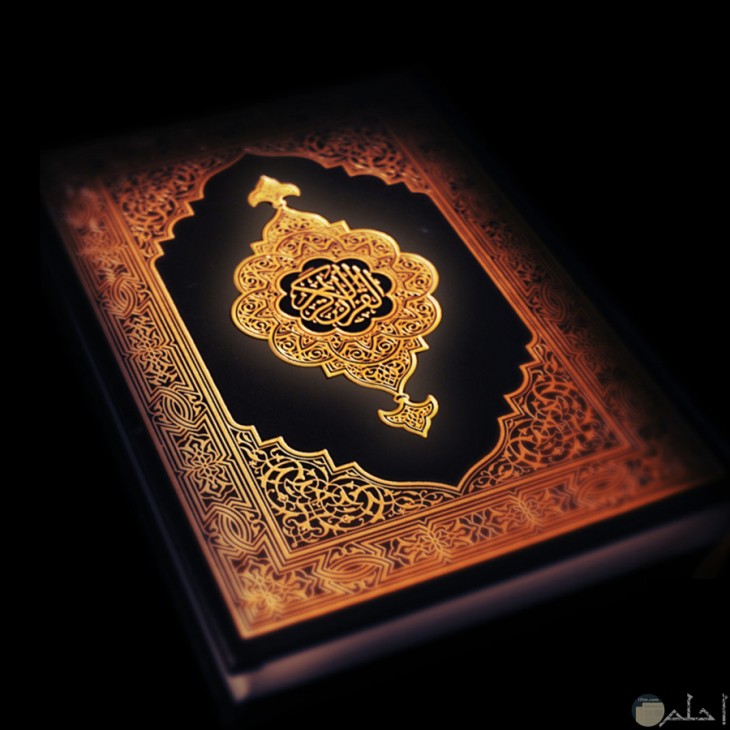 برنامج علوم القرآن في كتب السنة  